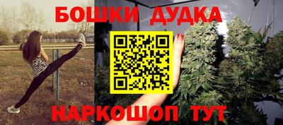 крисы Шелехов