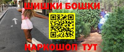 крисы Шелехов