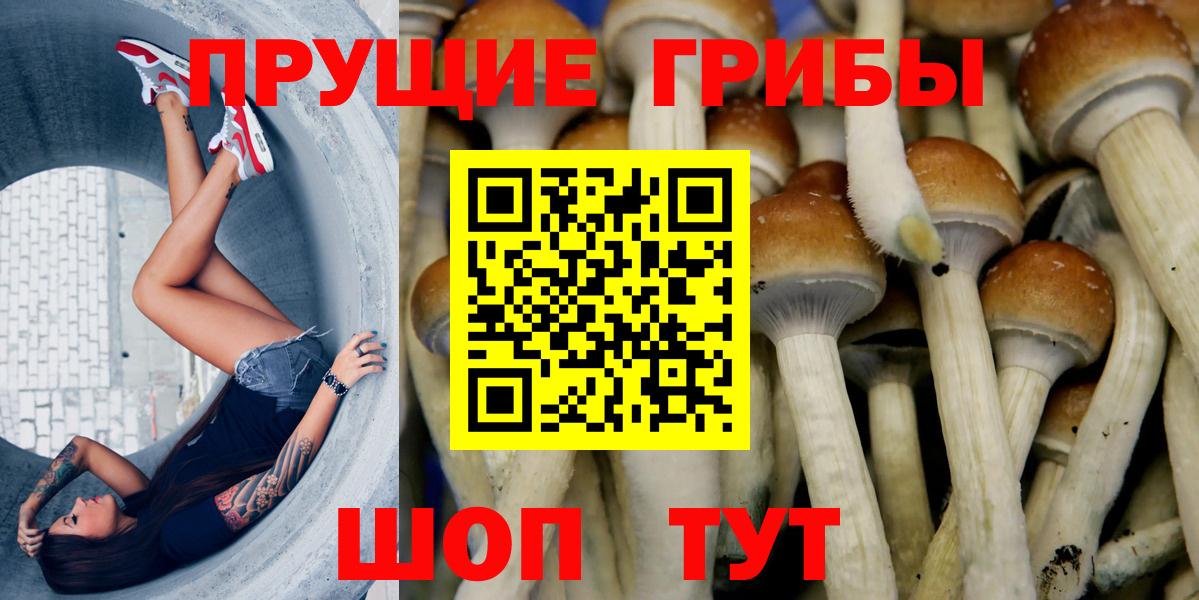 Галлюциногенные грибы прущие грибы Большой Камень