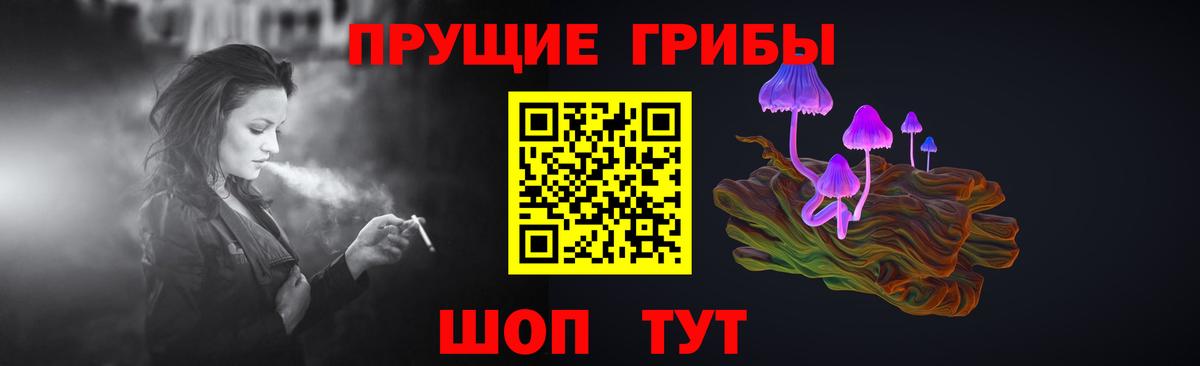 Большой Камень  закладка  Галлюциногенные грибы Magic Shrooms  Вход с VPN  Псилоцибиновые грибы MAGIC MUSHROOMS 